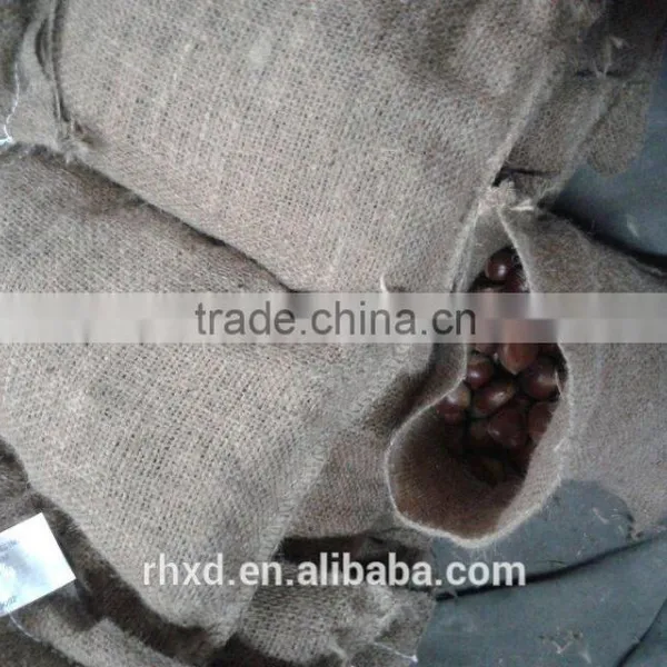 Health Food 40-50, 50LB Gunny Bag Chinese Fresh Chestnuts Wholesale Chestnuts for Spain photo-2