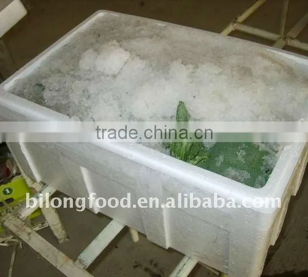 Chinese Fresh Broccoli (11-13cm ) From New Farm photo-4