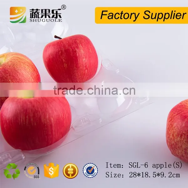 6 Cells Plastic Fruit Packaging Apple Containers photo-6