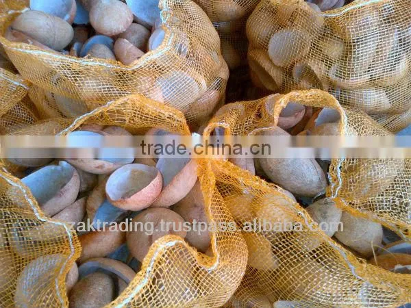 White Copra Premium Quality