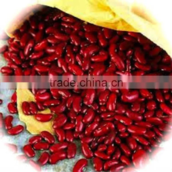 JSX Africa Red Kideny Beans Non-GMO Export British Red Kidney Bean photo-5