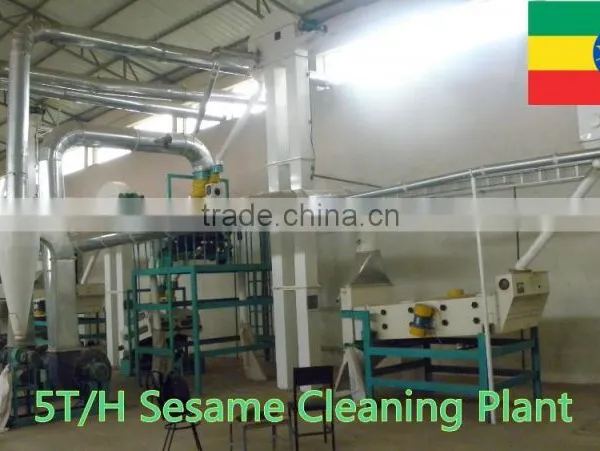 Green Mung Bean Cleaning Plant photo-4