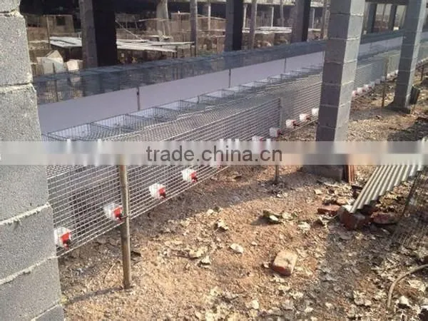 Best Selling Wire Breeding Mink Cage photo-6