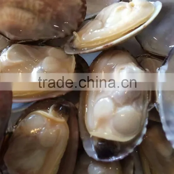 Boiled Freezing Wholesale New Produced Baby Clam Meat photo-2