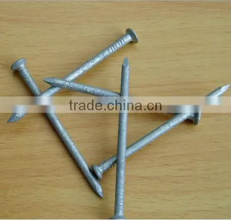 Hot-dipped Galvanized Common Wire Nail From Manufacturer photo-2