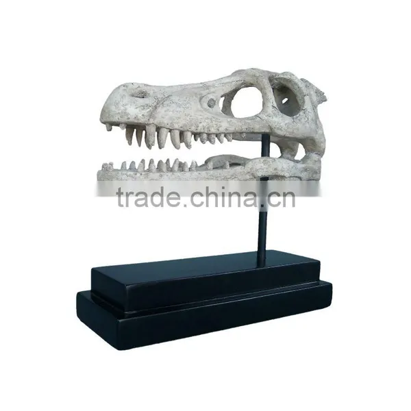 Fossils