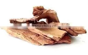 Terminalia Belerica photo-4