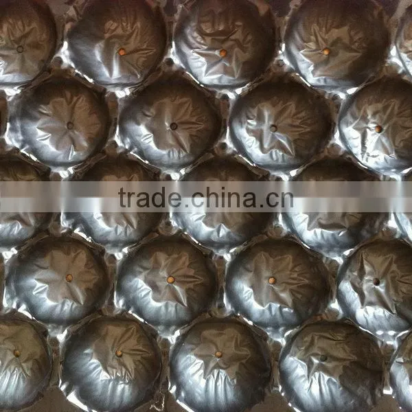 39X59cm PP Tray Packaging Pear photo-5
