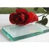 Clear Float Glass