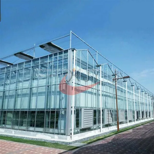Commercial Agricultural Glass Greenhouse for Flower and Vegetables Glass Greenhouse