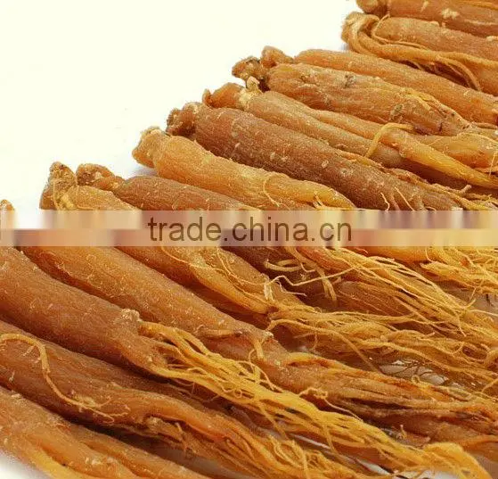 Red Ginseng Root / Panax Ginseng / Ninjin / Insam With Tail Tonic Body photo-3