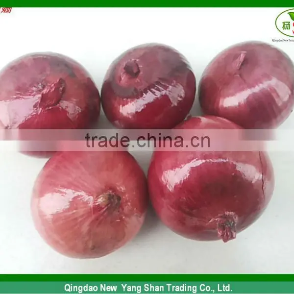 Export Fresh Onion Spcification 7-9cm In Wholesale Price photo-2