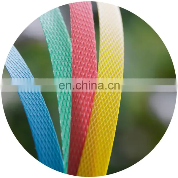 Customized Strapping Band Polypropylene Strap pp Straps photo-4