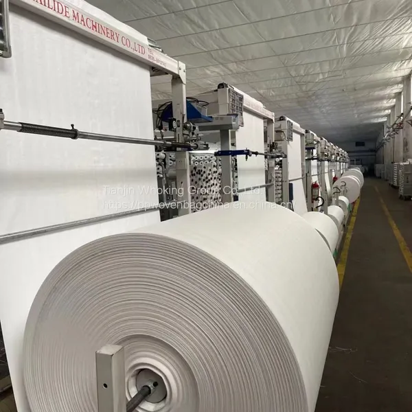 Conductive Quality pp FIBC Big Bag for Packaging Construction Materia photo-5