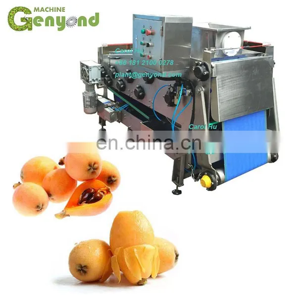 Custom Design Apple Belt Press Juice Machine