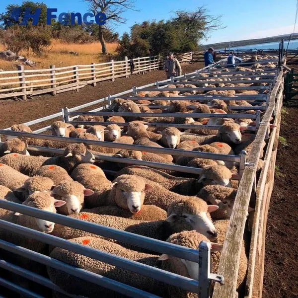 High-Visibility Solid Sheep Panel: Light-Colored, Reflective Surface Brightens Pens & Improves Working Safety