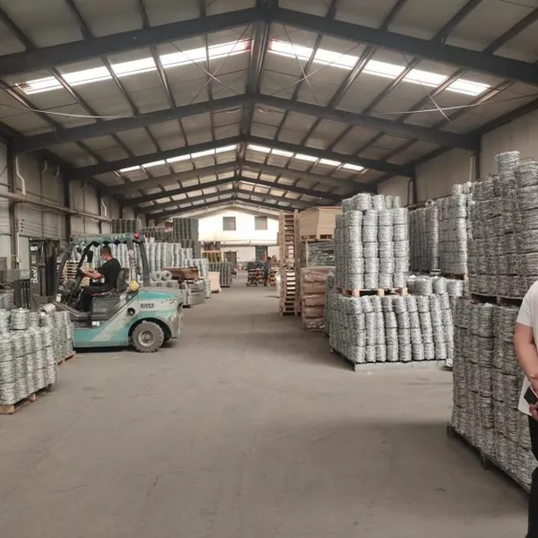 1.8mm Farm Anti Climb Anti Theft Manufacturers Galvanized 2mm Galvanized Barbed Wire for Sale photo-6