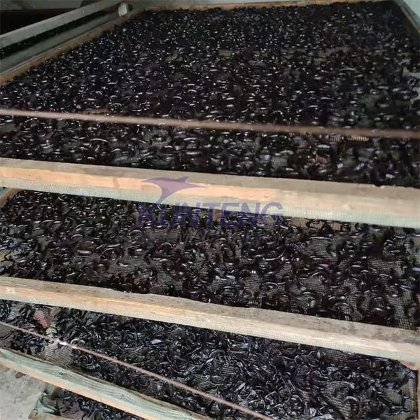 Industrial Bsf Larvae Air Drying Machine for Insect Earthworm Dried Mealworm Animal Blood Organic Fertilizer Brewery Waste Dryer EPC photo-5