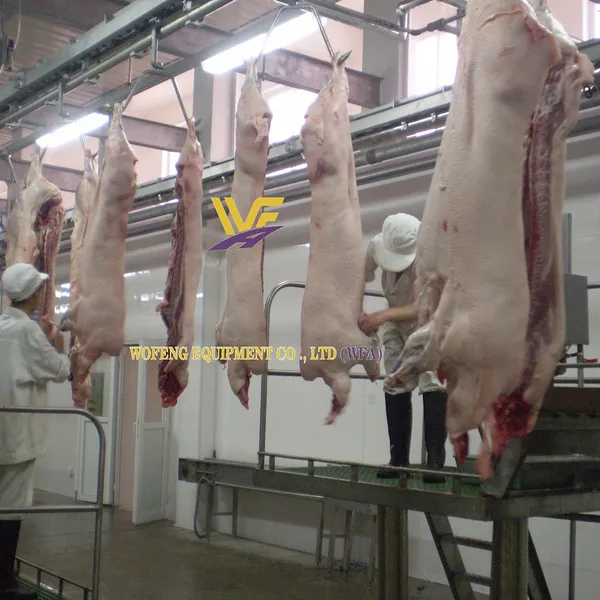 Full Pig Slaughtering Machine Hog Abattoir Equipment HACCP Swine Butcher Device Pork Processing Factory Meat Production Line photo-3