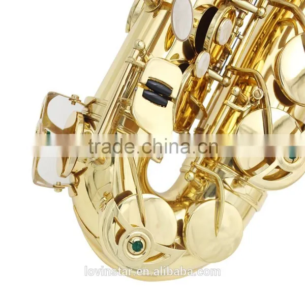 Professional Musical Instrument Alto Saxophone Case Sax Saxophone photo-5