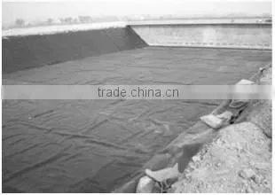 Blue Color Geomembrane photo-4