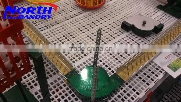 Automatic Chicken Feeding Line/poultry Feeders and Drinkers photo-2