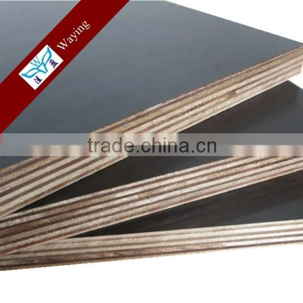 Poplar Main Material Popal Plywood photo-2