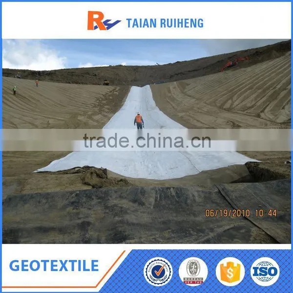Polyester/Pp Needle-Punched Nonwoven Geotextile photo-4