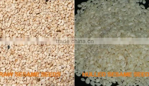 Advance Excellent Factory Direct Sale Peeled Sesame Processing Plant photo-4