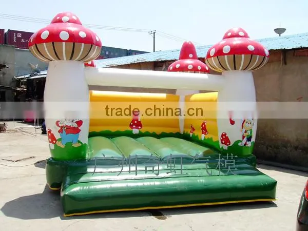 Adult Inflatable Bounce 5m x 5m or 6m x 6m