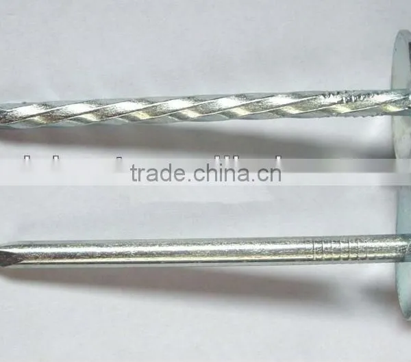 2.5inch Twistgalvanized Twist Shank Roofing Nail With Umbrella Head photo-2