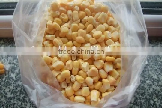 Non-GMO Frozen Sweet Corn Kernels IQF Sweet Corn Kernels photo-5