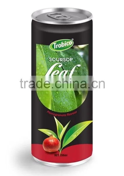 Soursop Leaf Tea With Pomegranate Flavor