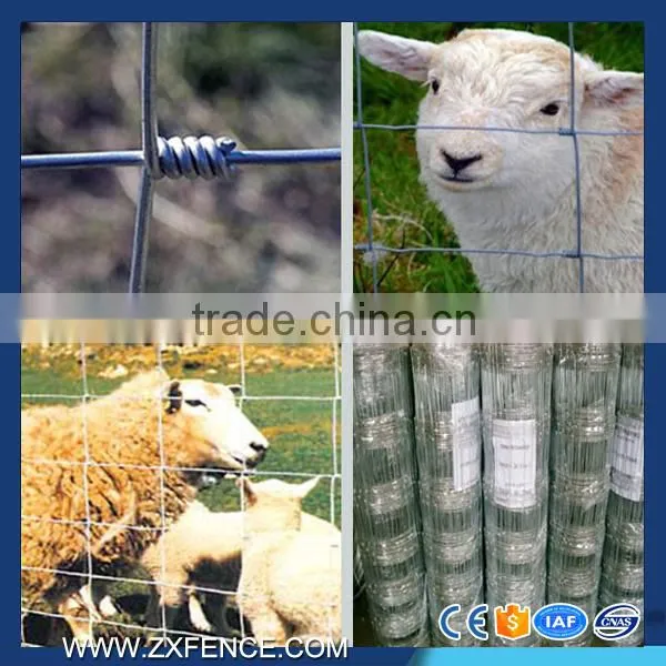 Cattle Horse Fence Manufacture of Galvanized Horse Fence photo-3
