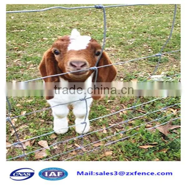 Factory Direct Cheap Heavy Duty Sheep Fence,horse Fence,cattle Fence photo-6