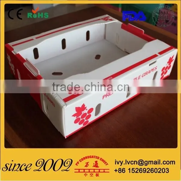 Factory Price Durable Foldable Corrugated Plastic Boxes For Fruits photo-5