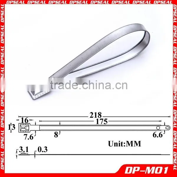 Metal Strap Seal Security Metal Band Cargo Seal DP-M01 photo-2