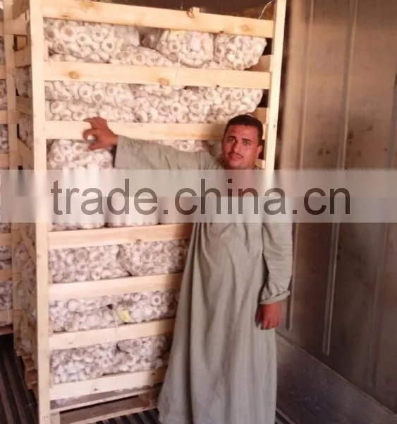 Wholesale Garlic Pure White Garlic 4.5cm-5cm photo-5