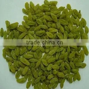 Green Raisins