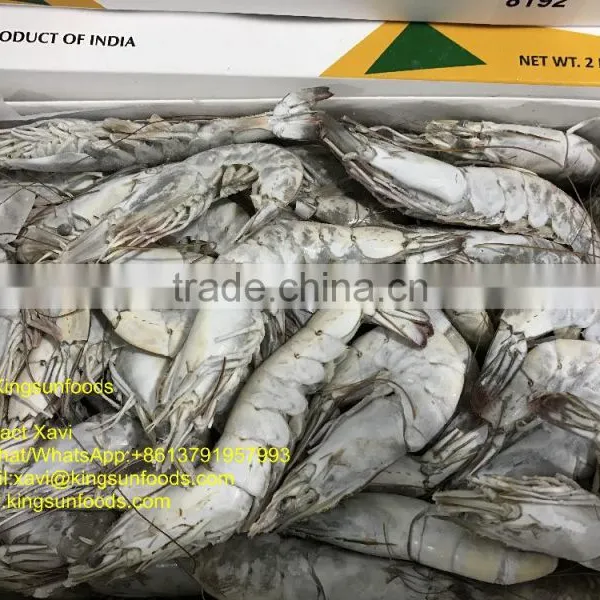 High Quality HOSO Vannamei,Shrimp Vannamei From India photo-3