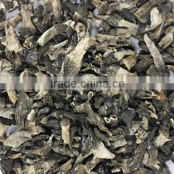 Dried Morchella Conica Industrial Grade photo-2