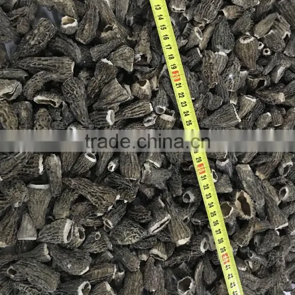 Dried Morels