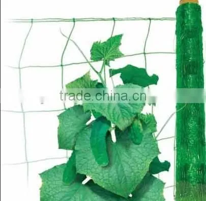 High Quality Plant Climb Support Netting photo-5