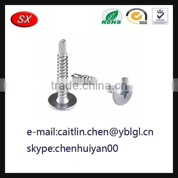 Dongguan Hardware Factory Custom Steel Screw photo-2
