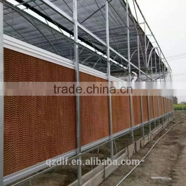 Advanced Chicken House Evaporative Cooling Pad for Poultry Houses photo-5