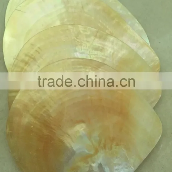 Polished Mop Whitelip Shell photo-2