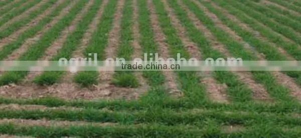 Big Seeder 36 Rows Wheat,rice,oats,barley,oil Rape,alfalfa,soya Seeder, Planter With Fertilizer photo-6