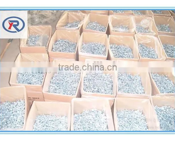 Low Price Stainless Galvanized Concrete Nails photo-5