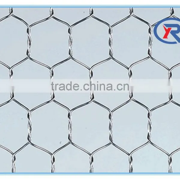 China Cheap Hexagonal Wire Netting/ Fence Netten Mesh/ Animal Catching Netsing photo-5