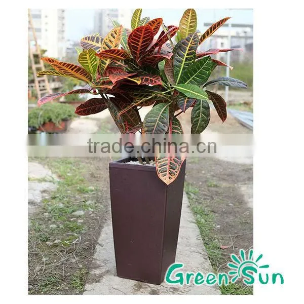 Water Storage Plant Pot Garden / Home Plant Pot photo-3